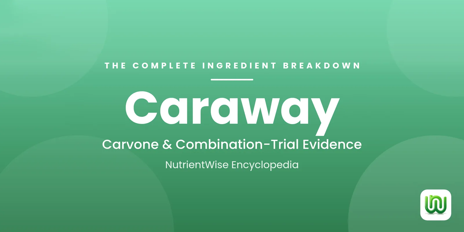 Caraway: The Complete Ingredient Breakdown