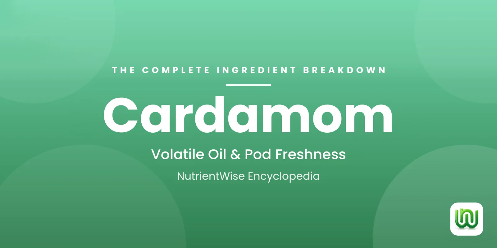 Cardamom: The Complete Ingredient Breakdown