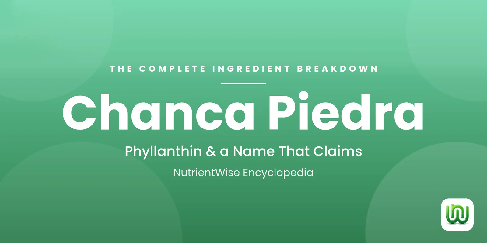 Chanca Piedra: The Complete Ingredient Breakdown